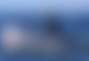 The Bruda Whale was found Continuously, It has been found in 4 Characters as a Thai Wildlife Reserve