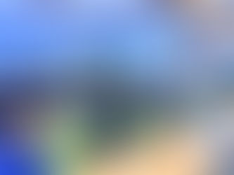 DMCR Discusses Ways to Work With The International Organization for Conservation of Nature