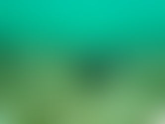 Chumphon Island National Park found "Seagrass" denser than 80%