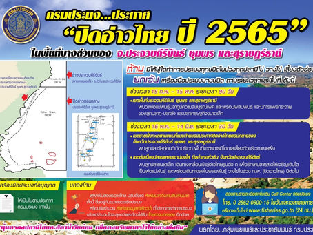Department of Fisheries Announced the Closure of The Gulf of Thailand in 2022