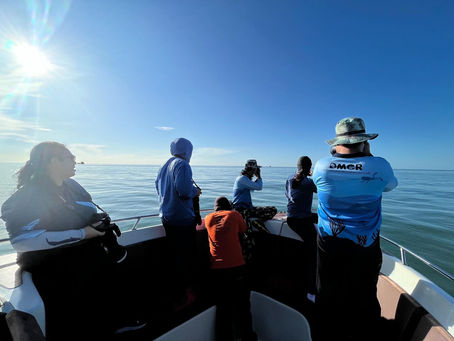 Explore two types of Dolphins found near the coast of Prachuap Khiri Khan