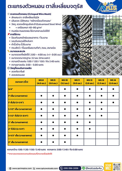 ตะแกรงตัวหนอน ตาสี่เหลี่ยมจตุรัส (1).png