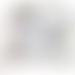 Traveler's notebook par Marina Ružarovská