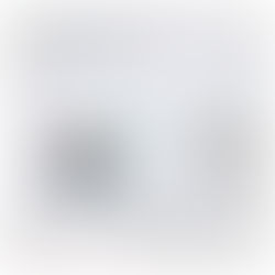 Page "Immortaliser ces jolis moments" par Tanina