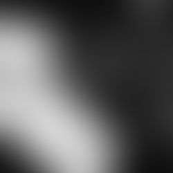 Présentation de l'équipe : Au petit bout de papier