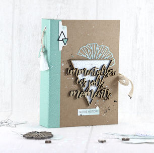 Mini-album "Immortaliser ces jolis moments" par Sileo