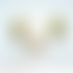 Carte "Chouette" réalisée par Charlotte Bouchet