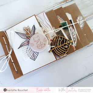 Album cascade automnal réalisé par Charlotte Bouchet