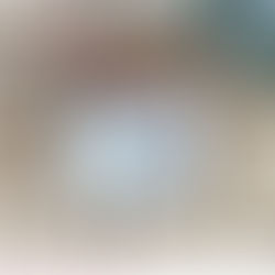 Memorydex challenge de novembre par Marina Ružarovská