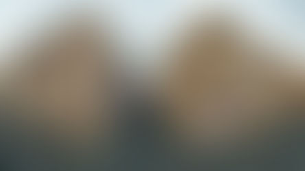 Sıfır atıkta büyük başarı: 90 milyon ton geri kazanıldı