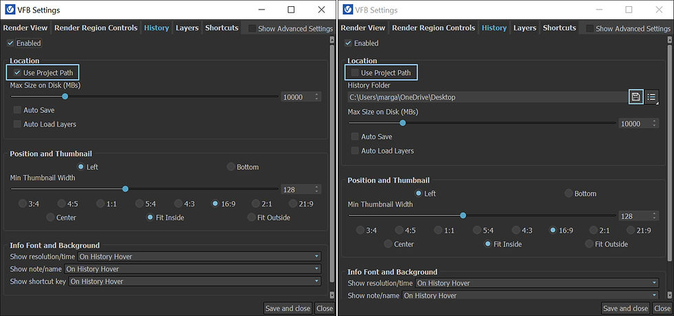 History save path in the VFB settings.