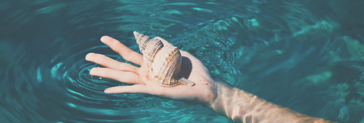 Seashell_edited.jpg