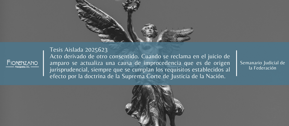 Tesis Aislada 2025623