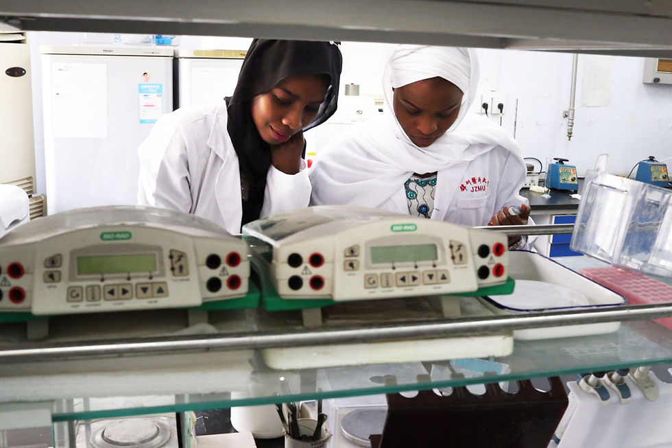 Case Studies in Research Support