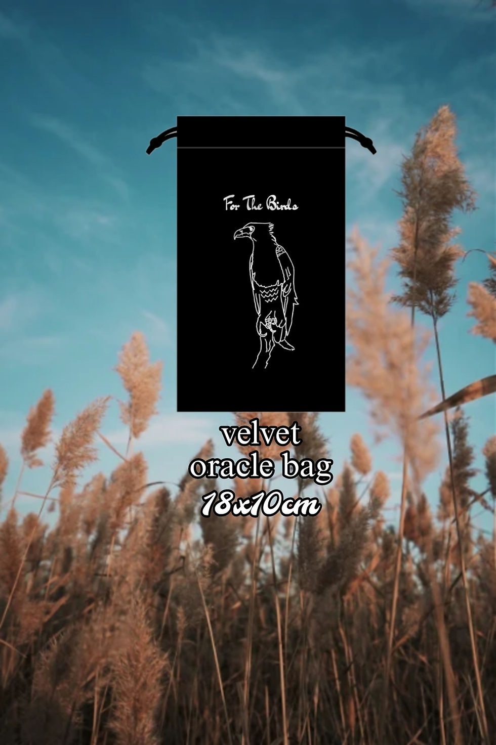 Thumbnail: Rare "For The Birds" Oracle Deck by Priestess Ieisha 