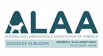 Doodles in Bloom ALAA LOGO 2025.png