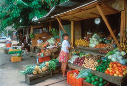 farmers market