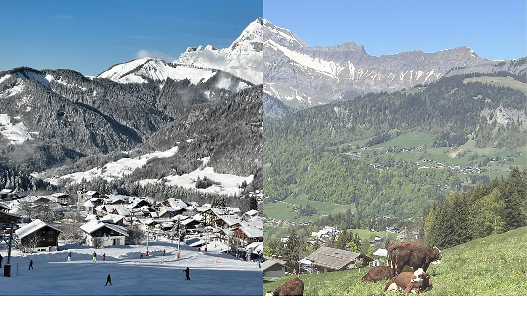 Photo chez francine été hiver.png