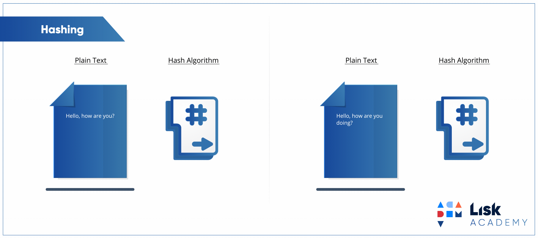11d_hashing_comparaison.gif