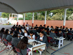 TORNEO DE AJEDREZ  TEBAEV PACHO VIEJO