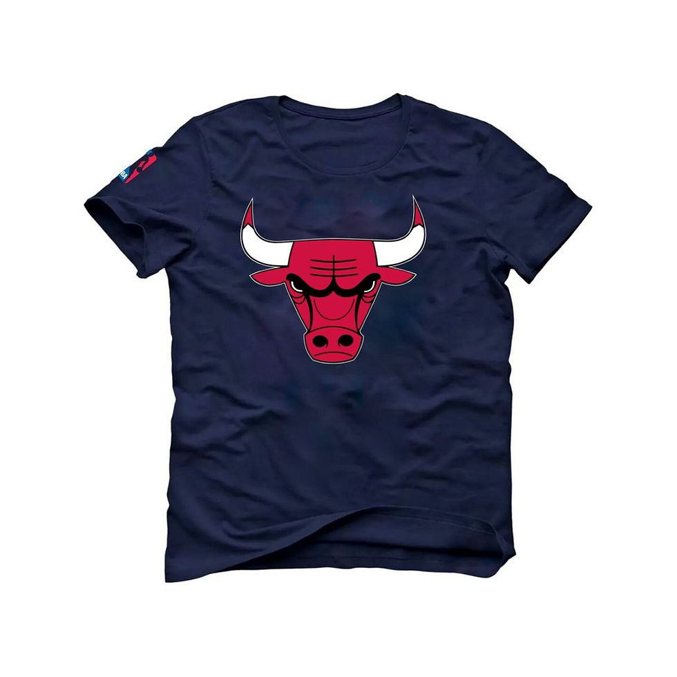 Miniatura: Camiseta Basquete Chicago Dennis Rodman Michael Derrick Rose