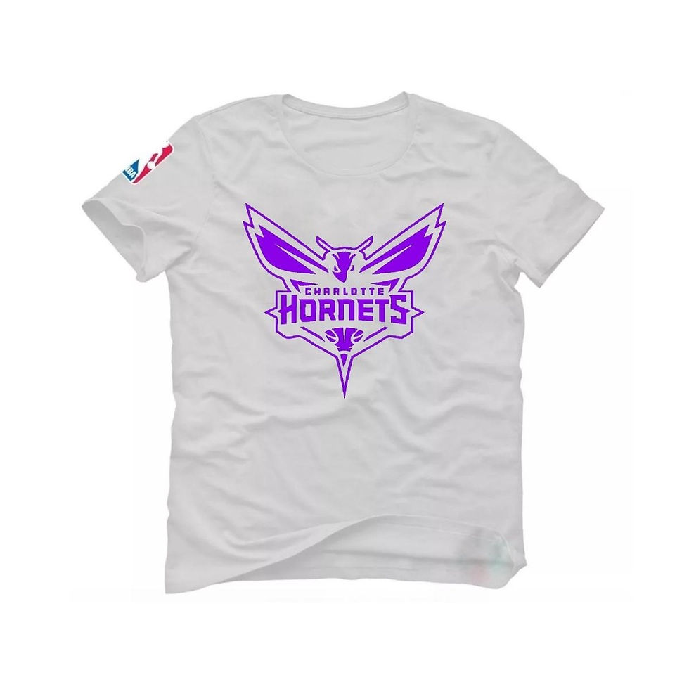 Miniatura: Camiseta Basquete Charlotte HorJason Kidd Kemba Walker MJ