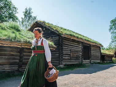 Norvegia - storia.jpg