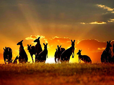 australia 5.jpg