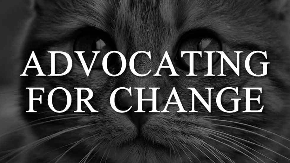 Support Animal Welfare