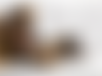 Multi-pet household - quelling the competition