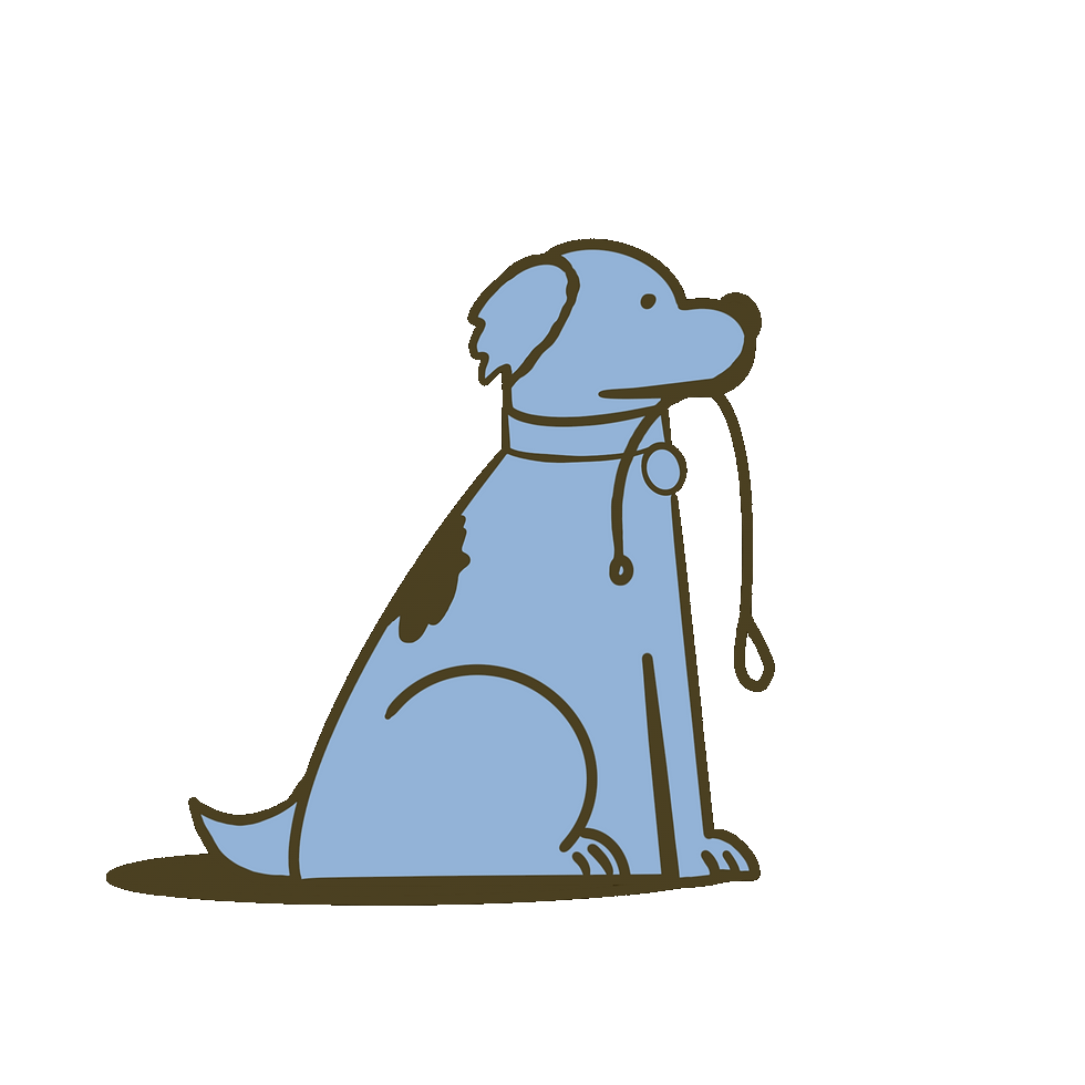 dog walk