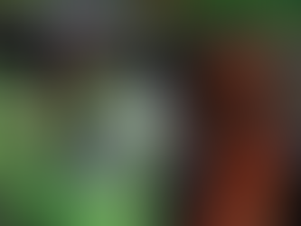 아시아다문화소통센터 2013년 활동 스케치 영상