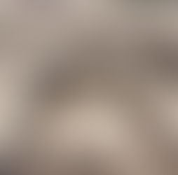 Escavação arqueológica revela um complexo residencial monástico, datado da era bizantina em Sohag