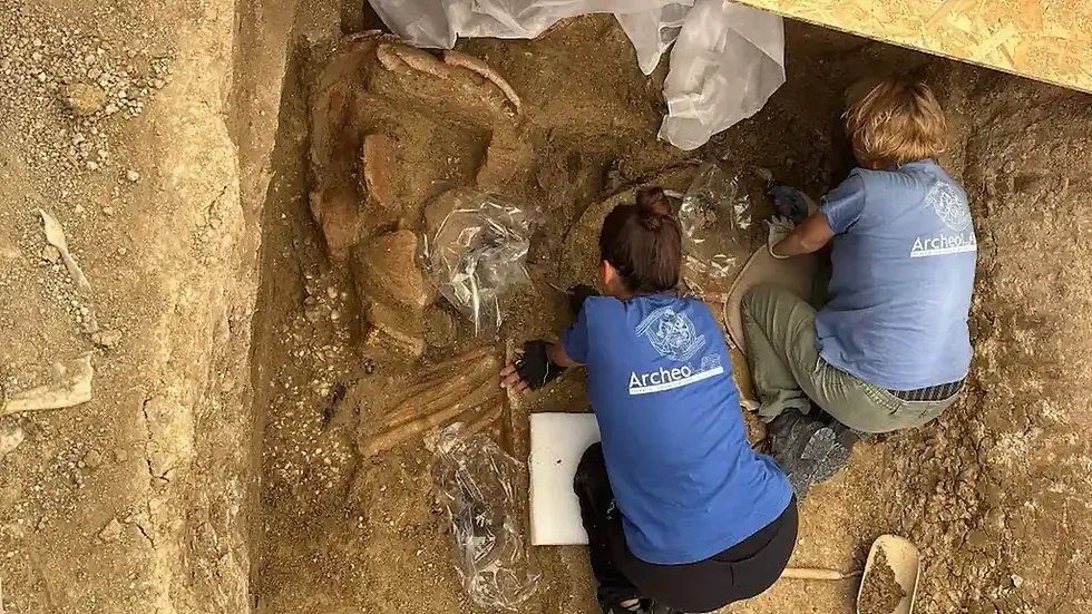 Túmulo de “Príncipe Guerreiro” de 2.500 anos é descoberto na Itália com carruagem e capacete