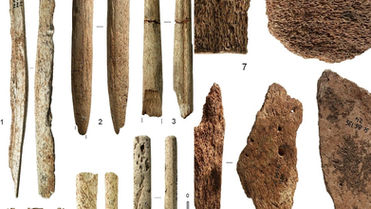 Humanos do Paleolítico Superior fabricavam ferramentas de osso de baleia há 20 mil anos