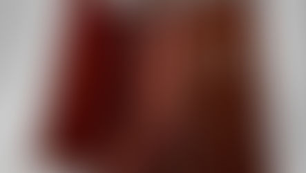 Gabinete de medalhas de Napoleão Bonaparte