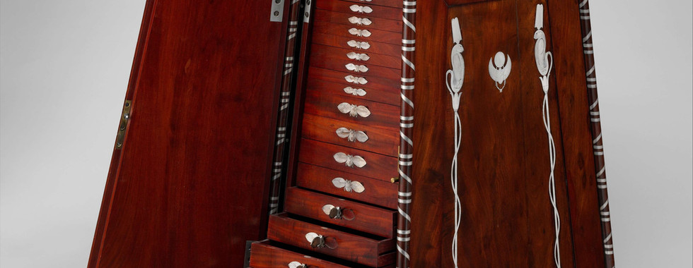 Gabinete de medalhas de Napoleão - História em Destaque