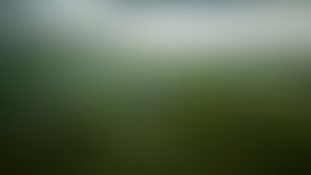 A impressionante descoberta da origem da Pedra do Altar de Stonehenge