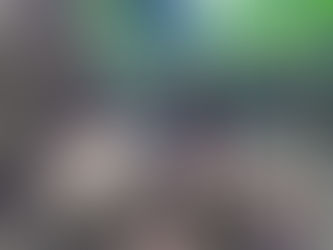 As misteriosas urnas funerárias encontradas no Amazonas