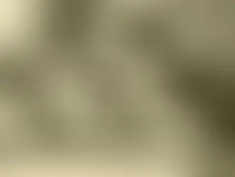 Miep Gies, a mulher que escondeu Anne Frank dos nazistas e manteve sua história viva