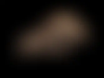 Novo crânio de Paquicefalossauro é um dos mais espetaculares já descobertos