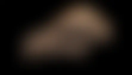 Novo crânio de Paquicefalossauro é um dos mais espetaculares já descobertos