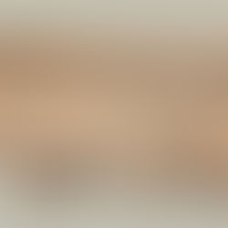 Papiro do Livro dos Mortos do sacerdote Djoser