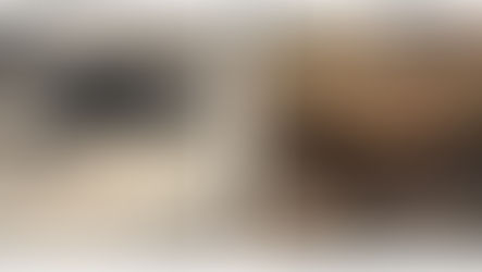 Reanálise de pegadas de 3,6 milhões de anos sugere que a ancestral humana ‘Lucy’ tinha companhia