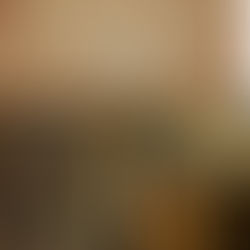 e-Book: As Dez maiores descobertas arqueológicas de 2025