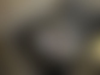 Descobertas no México revelam ruínas de antigo palácio asteca