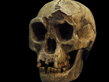 Nova pesquisa sugere que seca extrema pode ter levado os Homo floresiensis a competirem com os Homo sapiens