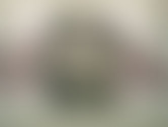 Legio IX Hispana: A Legião Romana Perdida