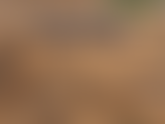 Encontrada fábrica de moedas mais antiga do mundo na China