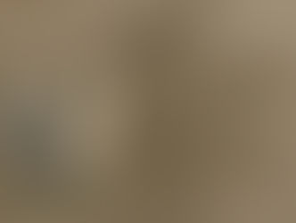 Pesquisadores descobrem que ‘cães lanudos’ do noroeste do Pacífico não eram um mito